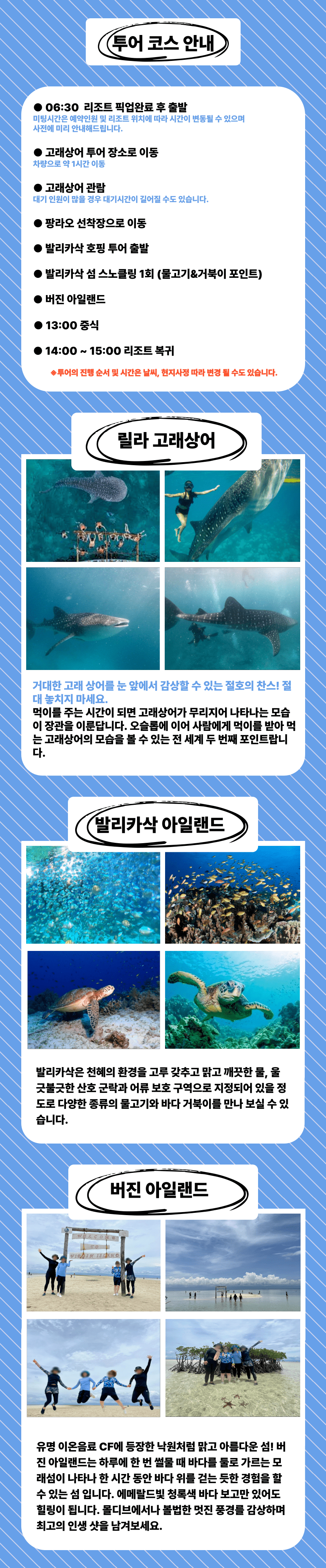 고래상어+발리카삭호핑