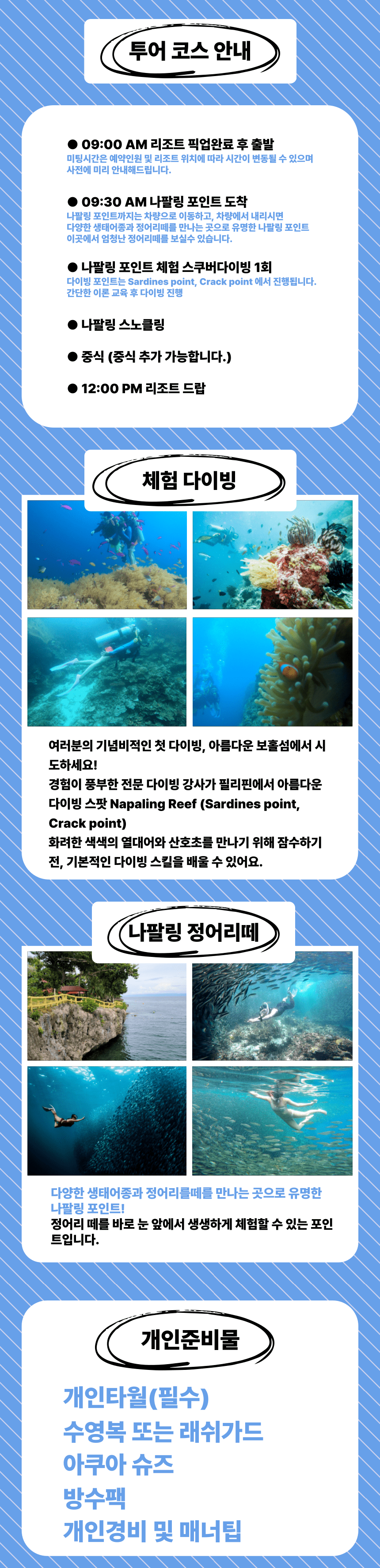 보홀 나팔링 체험 스쿠버다이빙+스노클링